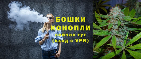 прущие грибы Осинники