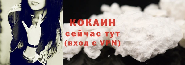 прущие грибы Осинники