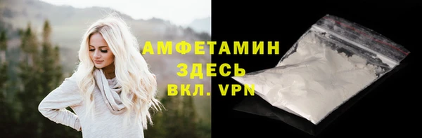 прущие грибы Осинники