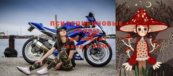 прущие грибы Осинники