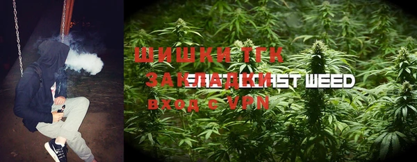 прущие грибы Осинники