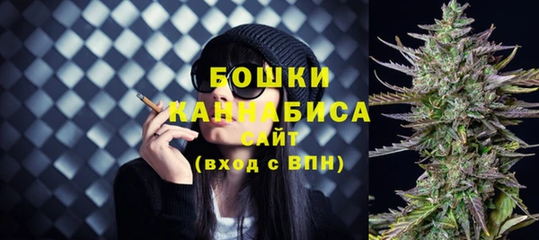 прущие грибы Осинники