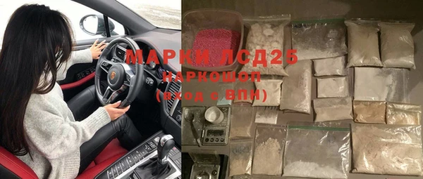 прущие грибы Осинники