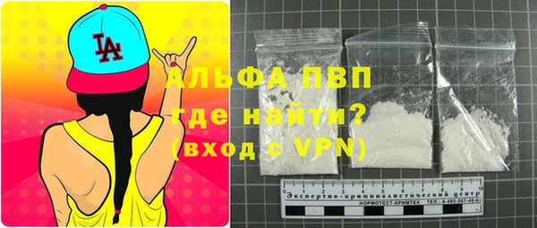 прущие грибы Осинники