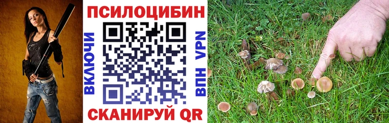 Псилоцибиновые грибы Magic Shrooms где купить Тайга